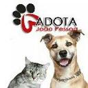 Adota João Pessoa