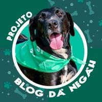 Blog da Negah