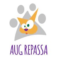 AUG Repassa