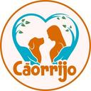 Cãorrijo RJ Adoção de Cães