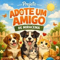 Projeto Adote um Amigo - Miracema/RJ