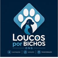 Loucos por Bichos
