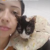 Paulinha Protetora