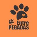 Entre Pegadas