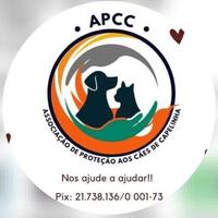 APCC - Proteção aos Cães