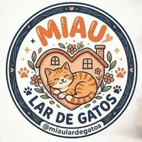 Miau Lar de Gatos - Adoção em BH