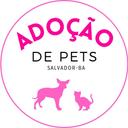 Adoção de Pets Salvador