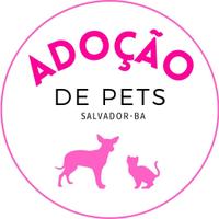 Adoção de Pets Salvador