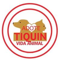 Adote Tiquin Vida Animais