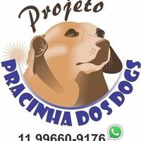 Projeto Pracinha dos Dogs