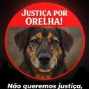 Abrigo AE Vidas Salvas