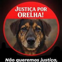 Abrigo AE Vidas Salvas