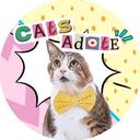 CatsAdote