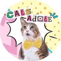 CatsAdote