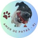 Amor Patas RJ