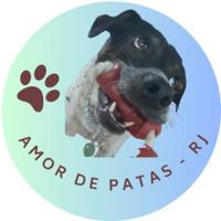 Amor Patas RJ
