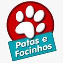 Patas e Focinhos