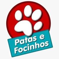 Patas e Focinhos