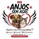 Anjos sem Asas