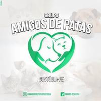 Amigos de Patas - Custódia/PE