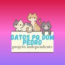 Gatos PQ Dom Pedro
