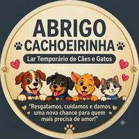 Lar Temporário de Doguinhos