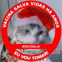 Claudia Helena Adoção de Gatos