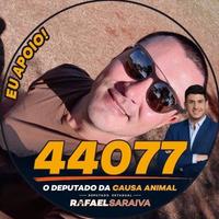 Amigos dos Bichos