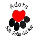 Adota São João del-Rei