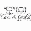 Cães e Gatos de Rua SLZ