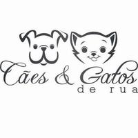 Cães e Gatos de Rua SLZ