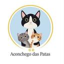 Aconchego das Patas