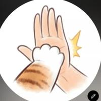 Projeto Adotte Gatinhos