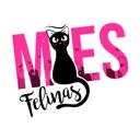 Mães Felinas Belém/PA