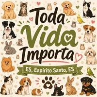 Toda Vida Importa