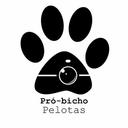 Pró Bicho Pelotas