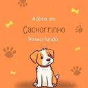 Adote um Cachorrinho PF