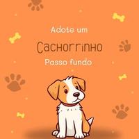 Adote um Cachorrinho PF