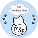 Gatil Meu Sonho Felino