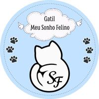 Gatil Meu Sonho Felino
