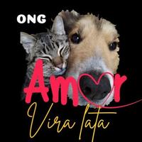 Amor Vira Lata - Arroio do Tigre/RS