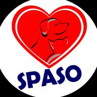 SPASO Associação Protetora dos Animais de Sorocaba