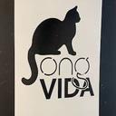 Vida Gatos