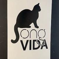 Vida Gatos