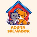 Adota Salvador