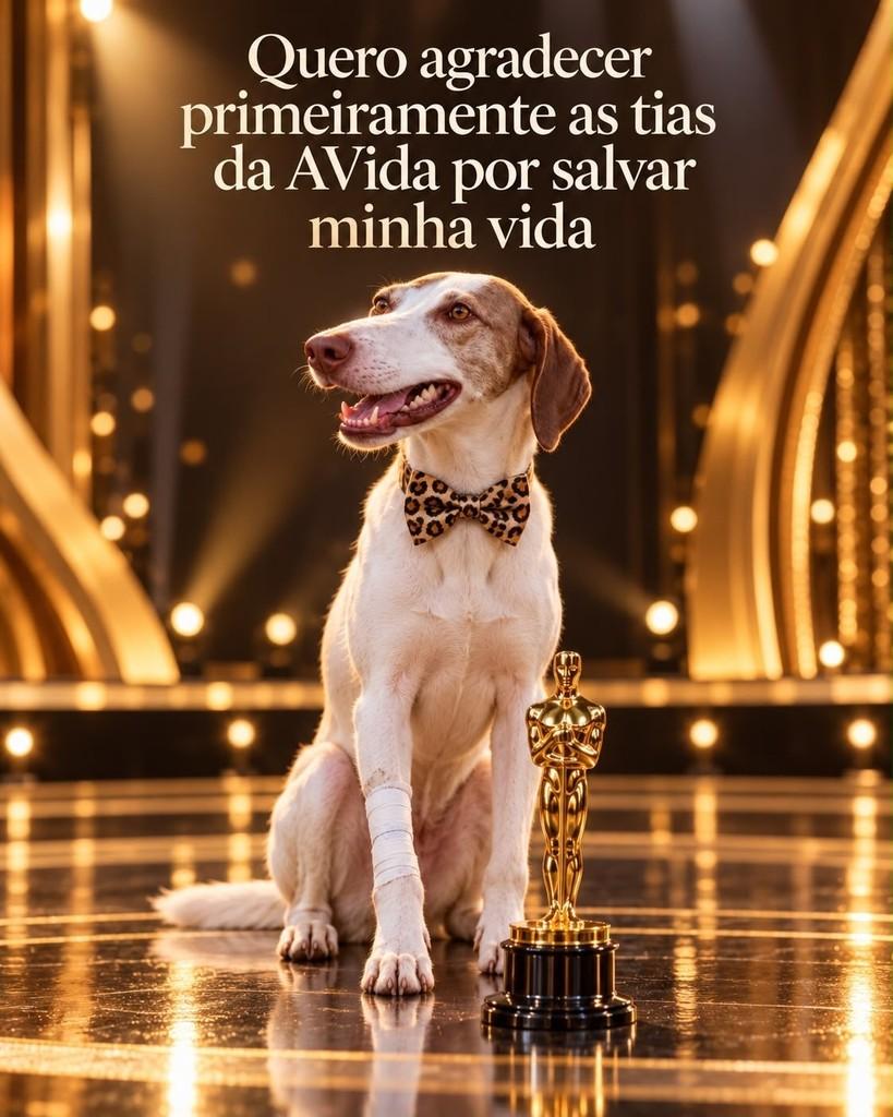 Lobo, cachorro de porte médio para adoção em São Domingos do Sul - RS — foto 2 de 10