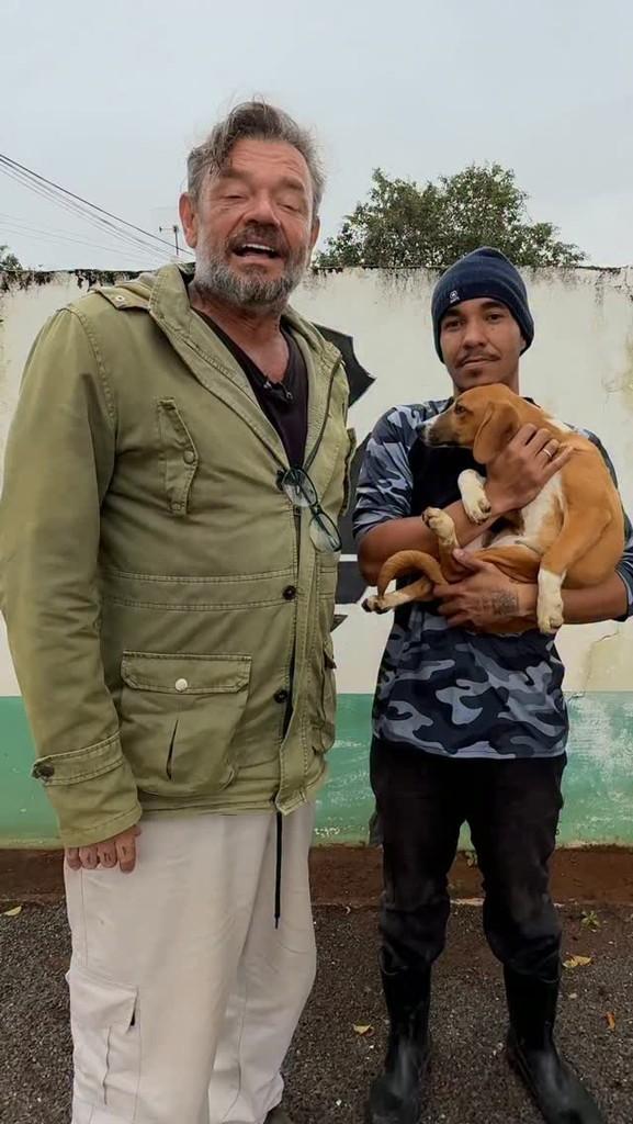 Nina, cachorro de porte pequeno para adoção em Ourinhos - SP