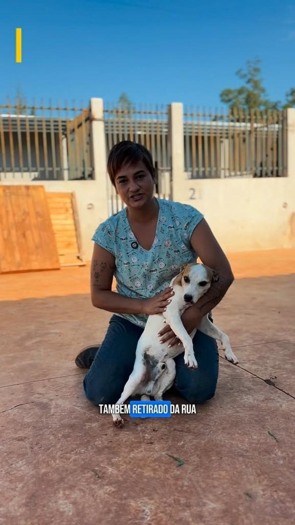 Fred, cachorro de porte pequeno para adoção em Jacarezinho - PR