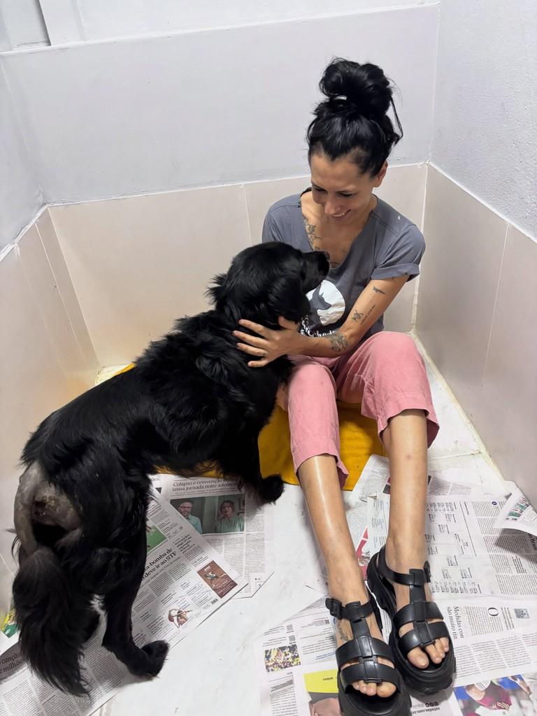 Tobias, cachorro de porte grande para adoção em São Paulo - SP