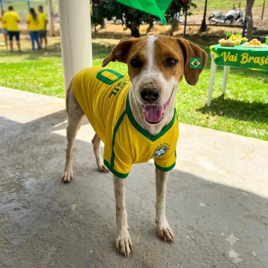 Trevinho, cachorro de porte médio para adoção em Colatina - ES